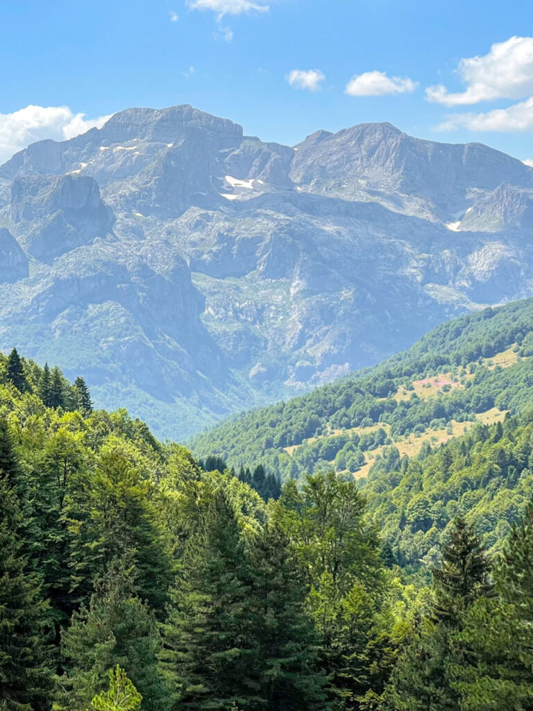 Man sieht mehrere bewaldete Hügel sowie eine Gebirgskette im Hintergrund. Des Foto zeigt das Bergland des Balkans, das im Zuge einer Reise mit Weltweitwandern begangen wird.