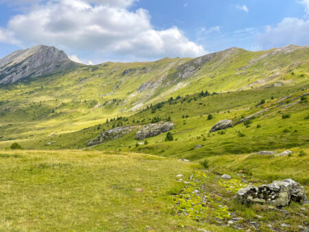 Eine Bergwiese oder Alm inmitten des Berglands am Balkan.