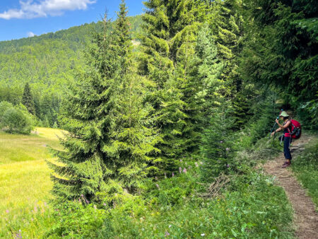 Eine Person mit einem großen roten Rucksack und Wanderstöcken steht auf einem Pfad am Rande eines Waldes und schaut hinaus auf eine weite Grasebene im Balkan.