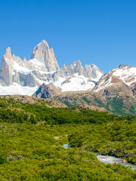 Der Río de las Vueltas schlängelt sich auf dem Bild durch einen dichten Wald. Im Hintergrund ragt der Berggipfel des Fitz Roy in den Himmel über Patagonien.