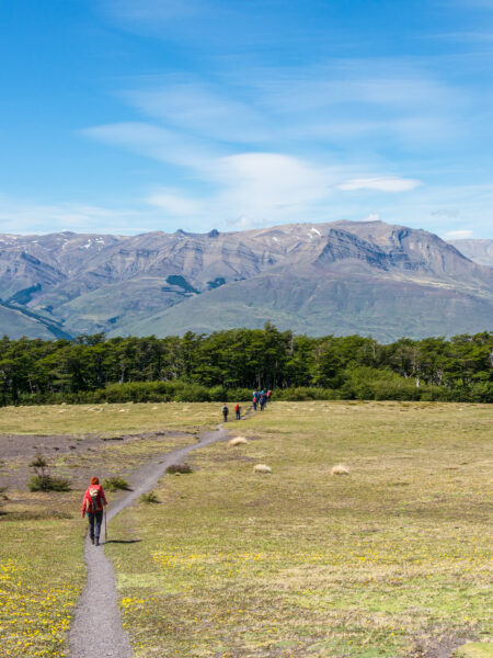 Ein kleine Gruppe auf Wanderreise folgt einem schmalen Pfad durch die Landschaft in Patagonien.