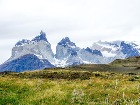 Ein Landschaftsfoto des Nationalparks Torres del Paine und der drei gleichnamigen Gipfel, die im Hintergrund in den Himmel ragen.