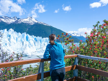 Eine Person auf Wanderreise durch Patagonien steht auf einer Aussichtplattform und schaut auf den Perito Moreno, einen großen Gletscher an der Küste Patagoniens hinaus. Das Eis des Gletschers ist schon aus großer Distanz gut erkennbar.