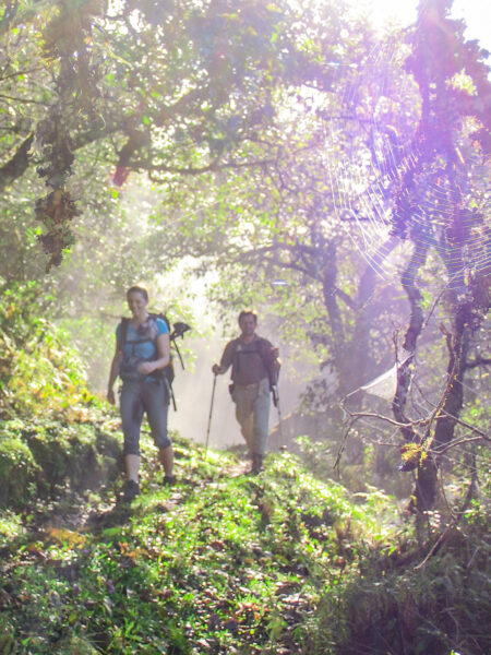 Zwei Personen trekken durch einen Regenwald in Südamerika, der Teil ihrer langen Wanderung durch Südamerika ist. Im Vordergrund lassen sich Spinnweben erkennen.