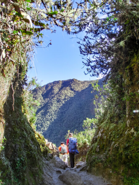 Man sieht zwei Personen von hinten auf einem Wanderweg. Sie gehen zwischen Gebüsch und zwei steilen Hängen in den Anden hindurch.