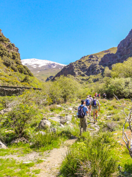 Man sieht zwei Wanderreisende auf ihrer Trekkingtour durch die Alpujarras. Sie sind umgeben von der grünen Vielfalt im Süden Spaniens.