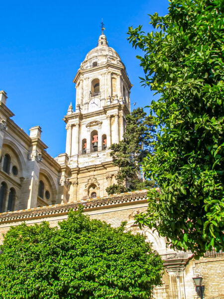 Der Turm der Kathedrale von Málaga ragt über das Dach der Kathedrale hinaus, daneben wächst ein Baum.