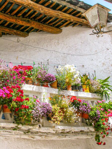 Ein mit bunten Blumen überwachsener Balkon in den Alpajurras in Spanien.