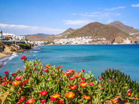 Im Hintergrund sieht man die Küste des Naturparks Cabo de Gata-Níjar im Südosten von Spanien. Im Vordergrund wachsen kräftige rote Blüten, die sich von der malerischen Mittelmeerküste abheben.