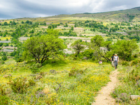 Mehrere Personen auf Wanderreise mit Weltweitwandern kommen einen Wanderweg in Andalusien herauf.