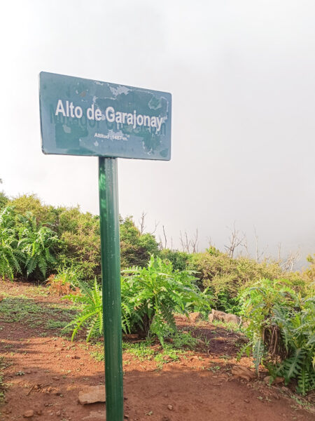 Ein Schild markiert den Anfang des Nationalparks Garajonay auf La Gomera. Dahinter hängen helle Wolken und man kann einige Büsch auf einem Hang erkennen.