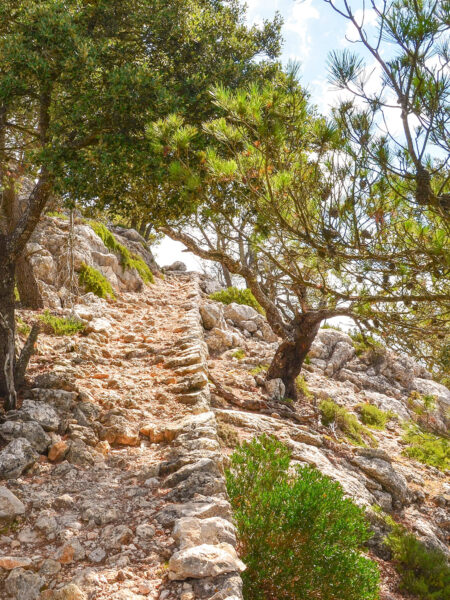 Eine mit groben Steinen gepflasterter Wanderweg führt einen Hang auf Mallurca hinauf.