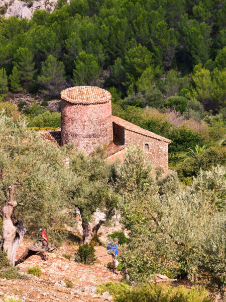 Der Torre de na Seca, ein alter Wachturm im Nordwesten von Mallorca, ragt zwischen den Bäumen eines kargen Waldes hervor.