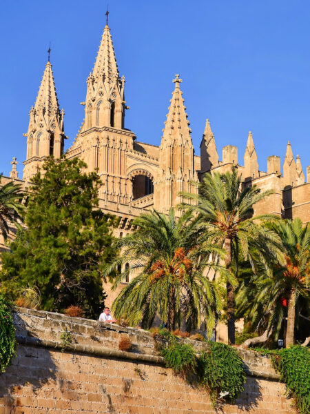 Die Kathedrale von Palma de Mallorca hinter Palmen versteckt.
