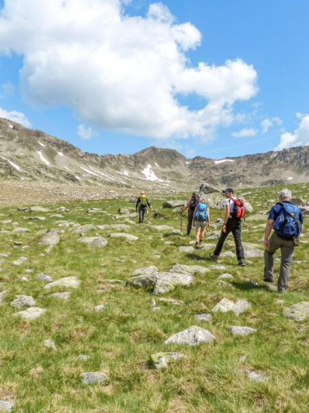 Eine kleine Gruppe auf einer Wanderreise durch den Norden Spaniens geht über eine Wiese in den Pyrenäen.