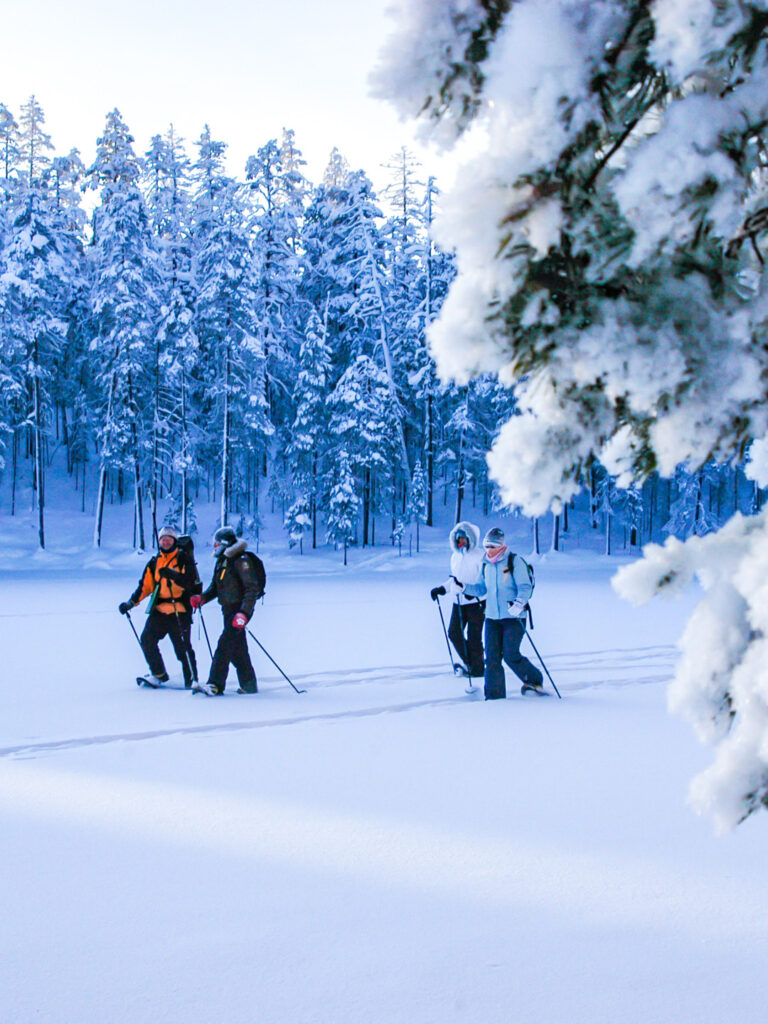 Man sieht eine kleine Gruppe beim Schneeschuhwandern in einer winterlichen Landschaft in Finnland. Sie stapfen mit ihrer gestellten Ausrüstung durch die wilde Taige von Finnland.