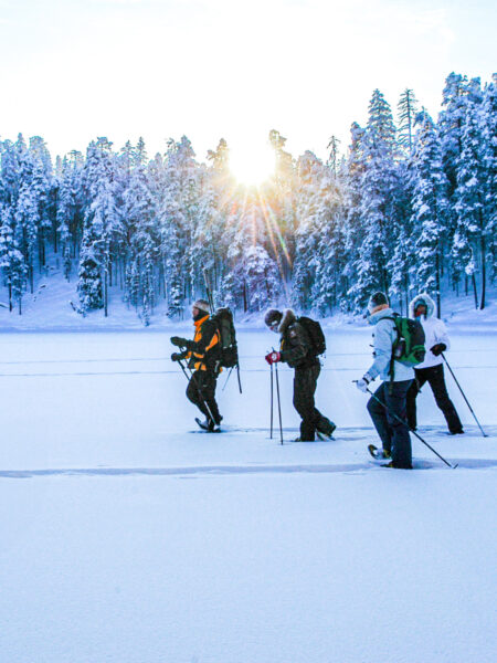 Man sieht eine Gruppe auf Reisen in Finnland. Sie schneeschuhwandern am Bild durch die finnische Taige.