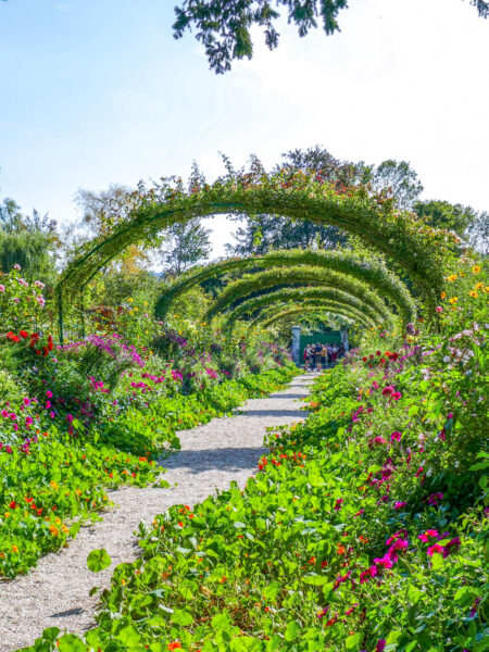 Mehrere Rosenbögen, die sich über einen Weg durch den berühmten von Claude Monet spannen.