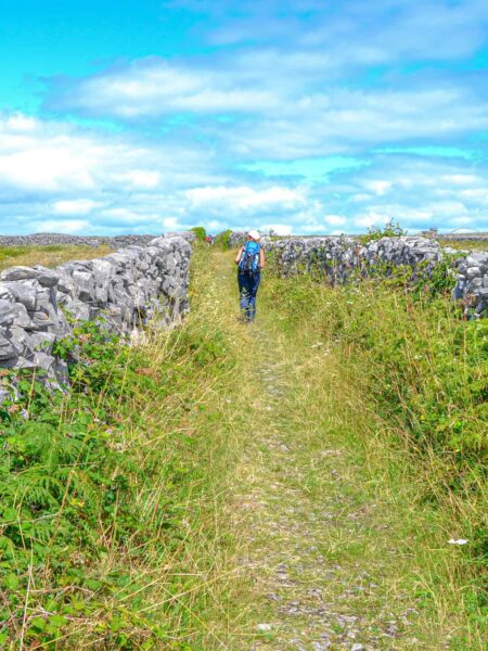Eine Person auf einer Wanderreise mit Weltweitwandern geht einen Weg zwischen zwei niedrigen Steinmauern in Irland entlang.