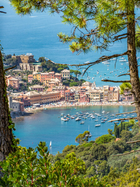 Zwischen zwei Bäumen entlang einer Wanderroute hindurch sieht man den Hafen des Orts Sestri Levante in der Nähe von Genua.