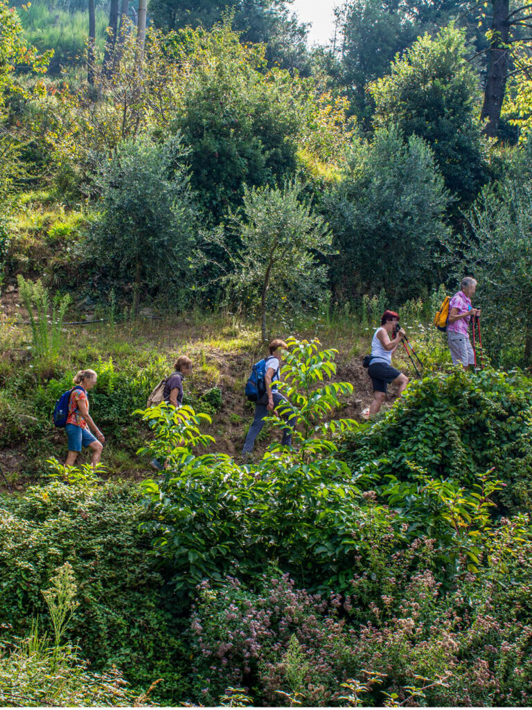 ITG02_Italien_Ligurien_Website_Galerie_1024x13663