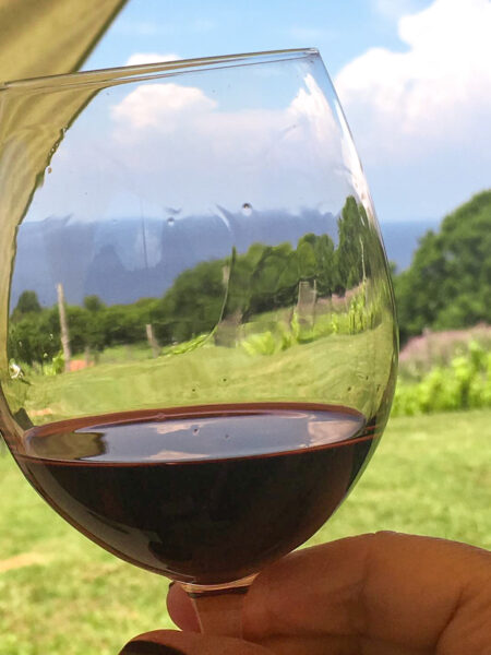 Ein Weinglas mit dem Rotwein einer Winzerei in Italien wird ins Bild gehalten. Am Glas kann man noch etwas von dem Wein erkennen, der langsam innen herunter rinnt. Im Hintergrund sieht man Teile der Weingärten.