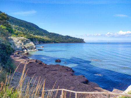 Eine Bucht im Cilento in Italien. Das Meer schwappt gegen den Stein, im Hintergrund sieht man die dichten Wälder der Region.