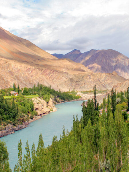 Ein Fluss mit trüb-hellblauem Wasser windet sich durch das Industal in Ladakh. Er ist zu beiden Seite von Wald begrenzt. Das Foto wurde auf einer Wanderreise durch das Tal aufgenommen.