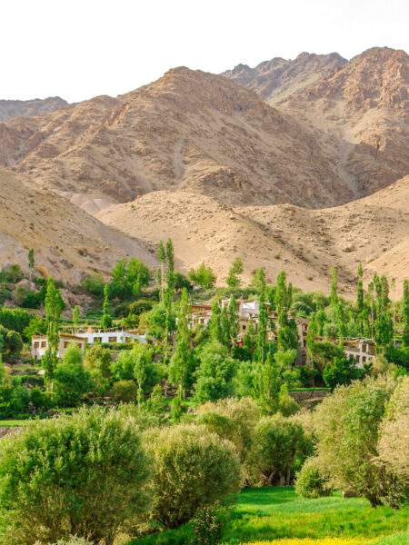 Man sieht einen Ausschnitt der Landschaft des Industals in Ladakh, die Wandern und Erkunden auf einer Reise durch Nordindien einlädt.
