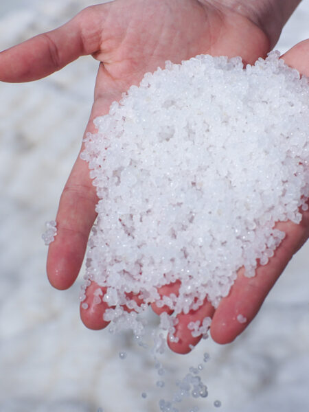 Eine Person auf Wanderreise hält einen kleinen Haufen Salz in Händen, den sie von der Küste des Toten Meers aufgesammelt hat.