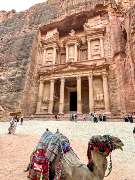 Ein Kamel, das eine Gruppe von Wander-Reisenden in Jordanien begleitet, liegt vor dem Eingang von Petra.