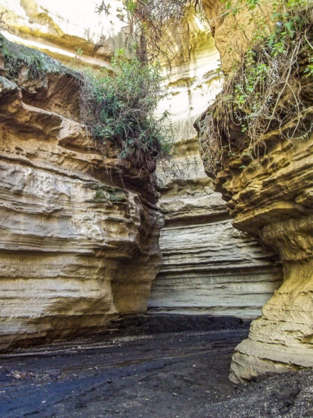 Das Bild zeigt eine Schlucht in Kenia, die gemeinhin als Hell's Gate bekannt ist. Die Schlucht ist Teil des Hellsgate-Nationalparks.