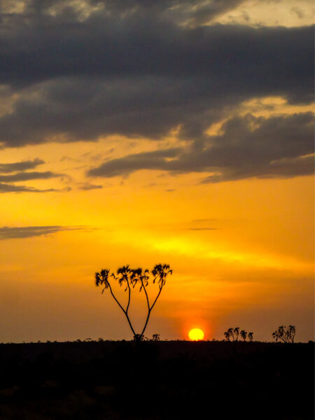 Ein Bild der untergehenden Sonne im Samburu-Nationalpark, aufgenommen von der Samburu Simba Lodge, wo die Reisenden auf ihrer Safari mit Weltweitwandern nächtigen.