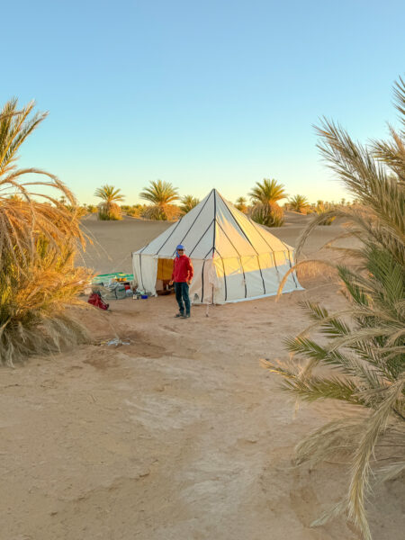 Ein Berber-Zelt, einer der Übernachtungsmöglichkeiten auf einer Reise durch die Wüsten von Marokko, steht zwischen Palmenbäumen. Davor steht ein Guide von Weltweitwandern in seiner roten Jacke.