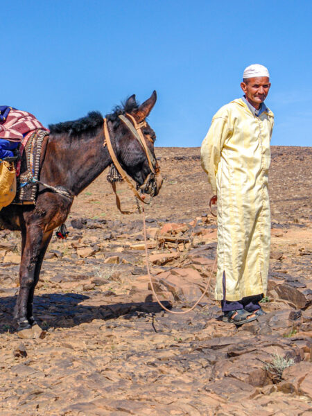Ein älterer marokkanischer Mann steht neben einem Maultier. Der Mann trägt traditionelle Kleidung.