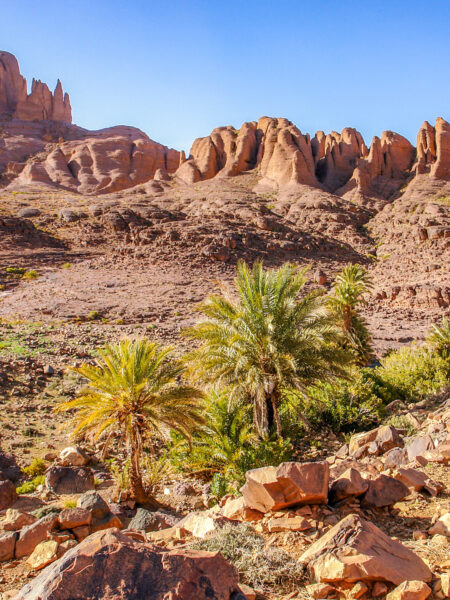 Im Hintergrund ragen die zerklüfteten Basalttürme im Jebel Sarhro Gebirge auf. Im Vordergrund kann man die spärliche Vegetation nahe der Sahara sehen.