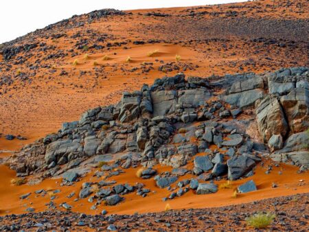 Auf dem Bild kann man einen felsigen Teil der Sahara in Marokko sehen. Dunkle Steine heben sich von dem rötlichen Sand ab.