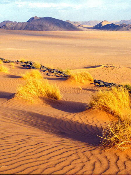 Das Bild zeigt einen Ausschnitt aus der Wüste in Marokko, die dazu einlädt mit einer kleinen Gruppe durch die Dünen zu trekken.