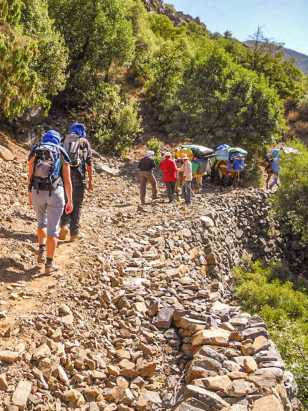 Ein kleine Gruppe Reisender geht einen Wanderweg in Marokko entlang. Sie folgen dabei einer Gruppe lokaler Guides, die sie mit Maultieren durch die Toubkalregion geleiten.