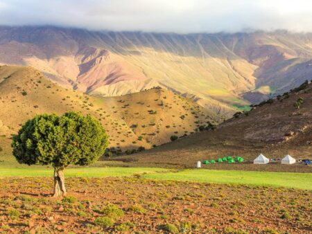 Ein Wacholderbaum im Vordergrund und das Camp einer kleinen Reisegruppe im Bergland Marokkos im Hintergrund.