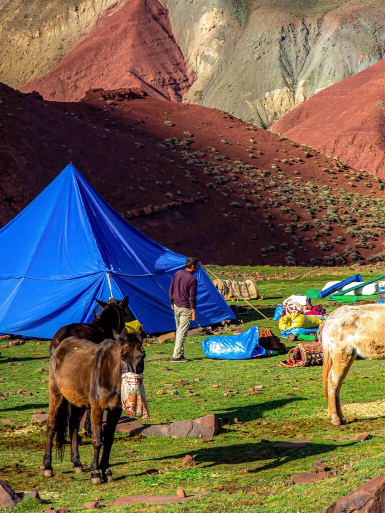 Wir bekommen einen Einblick in ein Camp einer Weltweitwandern-Reise durch den Hohen Atlas in Marokko. Auf dem Bild kann man zwei der Packtiere der kleinen Reisegruppe sehen. Ein Mann auf Wadnerreise steht in dem kleinen Camp vor einem blauen Zelt, das als Schlafstatt oder als Unterstand auf ihrer Trekkingtour dient.