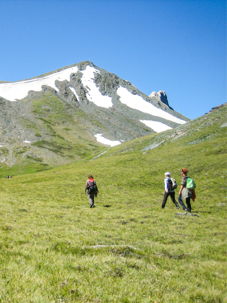 Drei Personen auf einer Wanderreise durch die Mongolei gehen gemeinsam über die saftig grünen Wiesen in den Bergen.