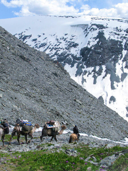 Ein Guide von Welt führt eine Gruppe von Packtieren einen Hang in der Mongolei hinab.