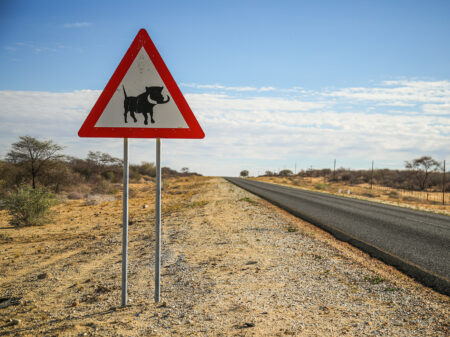 Verkehrsschild mit Wildschwein-Warnung an einer Straße in der trockenen Landschaft Namibias.