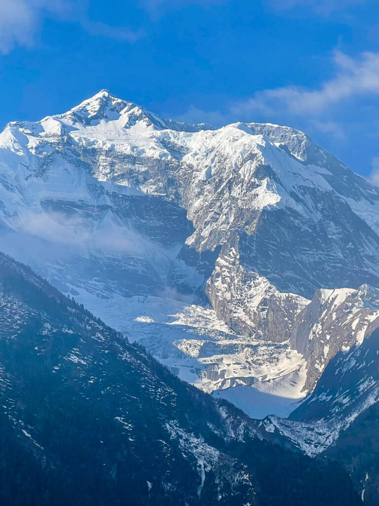 Gute Sicht im Winter: Auch Autodach und Hauben müssen vor