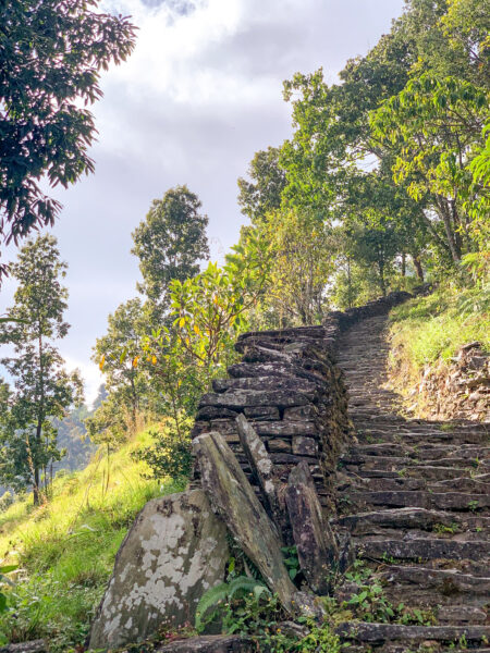 Man sieht Steinstufen die auf einen Berg in Nepal hinauf führen. Das Foto wurde aufgenommen im Zuge einer Trekkingreise durch das Land.