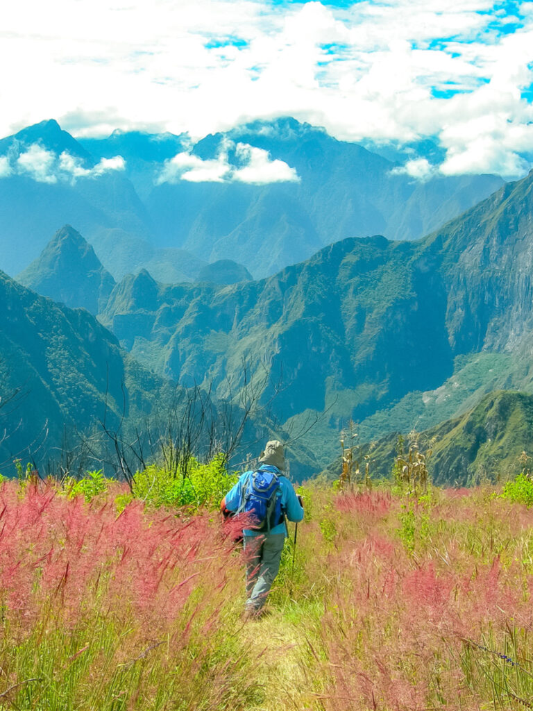 Eine Person steht am Salkantay-Trail in der Nähe von Machu-Pichu. Sie ist umgeben von rötzlichen Pflanzen und hinter ihr erhebt sich im Hintergrund das wolkenverhangene Bergland der Anden.