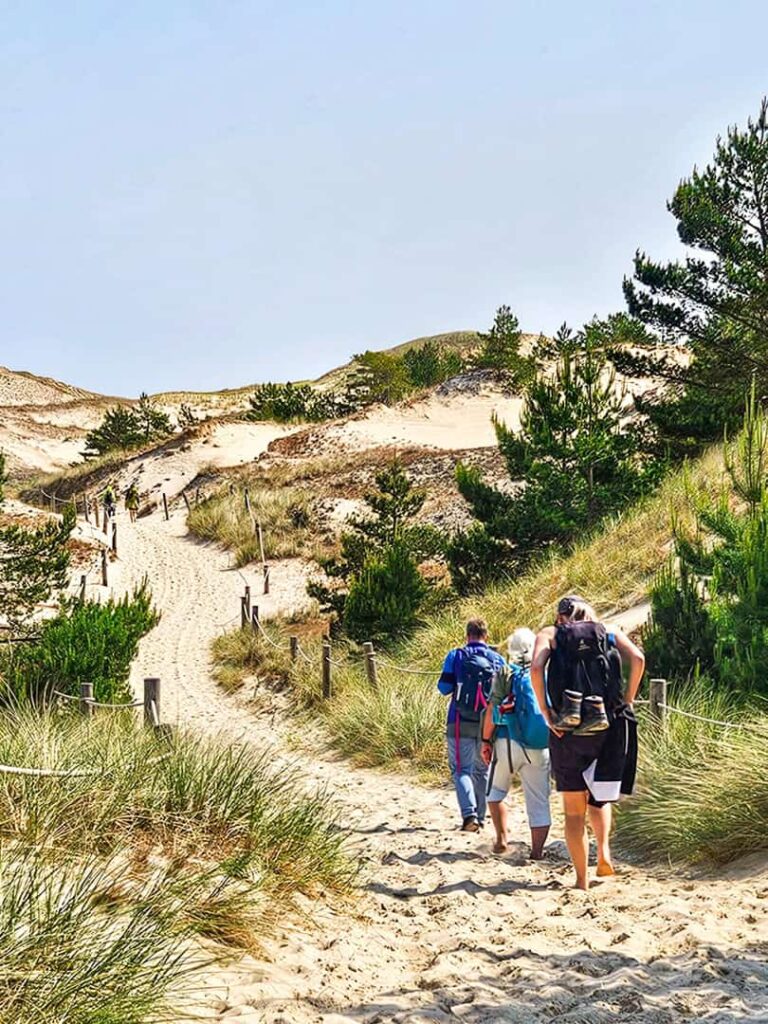 Drei Personen wandern auf dem Sand der Ostsee-Düne auf einem Weg in Richtung Küste. Mehrere Bäume rahmen den Weg ein, den sie auf ihrer Reise mit kleiner Gruppe begehen.