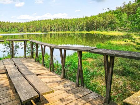 Ein Holzsteg mit einer Bank ragt in einen der Seen in den Masuren hinaus. Das Ufer ist mit Schilf bewachsen und ein Wald umringt den See im Bild.