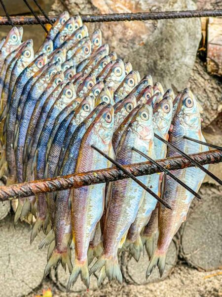 Mehrer Fische hängen über einem Feuer, an dem sie gerade in einer urigen Fisch-Räucherei in Polen geräuchert werden.